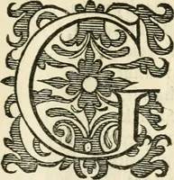 An illustration from Het ambacht van Cupido : op een nieuw ouersien ende verbetert (1615)