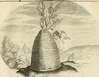 Picture 40 of 53 from Het ambacht van Cupido : op een nieuw ouersien ende verbetert (1615), leaf 86