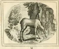 An illustration from Het ambacht van Cupido : op een nieuw ouersien ende verbetert (1615)