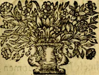 An illustration from Het duyfken in de steen-rotse; dat is, Eene mede-lydende ziele op de bittere passie Jesu Christi mediterende. Gemaekt door eenen Priester der Societeyt Jesu. 8. druck, rycker van stoffe, van beelden en van poësie (1753)