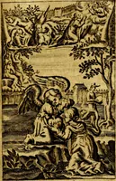 An illustration from Het duyfken in de steen-rotse; dat is, Eene mede-lydende ziele op de bittere passie Jesu Christi mediterende. Gemaekt door eenen Priester der Societeyt Jesu. 8. druck, rycker van stoffe, van beelden en van poësie (1753)