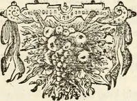 An illustration from Het groot natuur- en zedekundigh werelttoneel, of, Woordenboek van meer dan 1200 aeloude Egiptische, Grieksche en Romeinsche zinnebeelden of beeldenspraek ... : op nieu uit de oirsprongklyke schriften van Cezar Ripa, Zaratino Kastellini, Piërius Valerianus, Horus Apollo en andere ... getrokken in eene alphabetische ordre gebragt, met uitvoerige aenmerkingen en ophelderingen ... door een' ervaren taelen outheitkundigen, hebende voor het overige de uitmuntende dichter, Hubert Korneliszoon Poot dit werk ten opzichte van den text ... in klaer en zuiver Nederduitsch overgeschreven, en achte verscheide zinnebeelden dichtkundige toepassingen gestelt ; met fraeje kunstplaten versiert .. (1743)