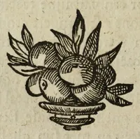 An illustration from Het gulden cabinet vande edel vry schilder const : inhoudende den lof vande vermarste schilders, architecte, beldthowers, ende plaetsnyders, van dese eeuw (1662)