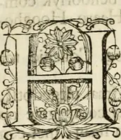 An illustration from Het juichend Friesland, ofte, Kort verhaal van de blyde inkomst van den alderdoorluchtigsten vorst en heere Willem Carel Hendrik Friso prince van Orange en Nassau ... ende haare koningklyke hoogheid Anna kroon-princesse van Engeland ... : met een beschryvinge van verscheidene keurlyke illuminatien, en de afbeelding van een kostelyk en konstig vuurwerk (1734)