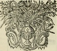 An illustration from Het masker vande wereldt (1646)