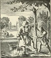 An illustration from Het menselyk bedryf (1694)