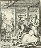 An illustration from Het menselyk bedryf (1694)