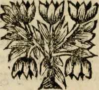 Picture 2 of 6 from Het onbekend en wonderlijk eyland, Utopia (1700), leaf 19