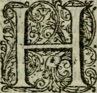 Picture 28 of 29 from Het ontroerde Nederlandt, door de wapenen des konings van Vrankryk : dat is een waarchtigh verhaal van den Fransen, Engelsen, Keulsen, en Munstersen oorlogh, tegen de Vereenigde Nederlanden, met desselfs binnelandtse beroerten ... (1674), leaf 564