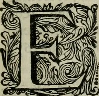 An illustration from Het ontroerde Nederlandt, door de wapenen des konings van Vrankryk : dat is een waarchtigh verhaal van den Fransen, Engelsen, Keulsen, en Munstersen oorlogh, tegen de Vereenigde Nederlanden, met desselfs binnelandtse beroerten ... (1674)