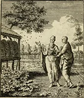 Picture 8 of 84 from Het overvloeijend herte, of nagelatene verzen (1767), leaf 47