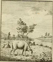 Picture 18 of 84 from Het overvloeijend herte, of nagelatene verzen (1767), leaf 83