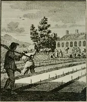 An illustration from Het Overvloeijend Herte : of Nagelatene Verzen (1767)