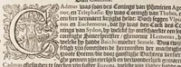 An illustration from Het schilder-boeck, waerin voor eerst de leerlustighe iueght den grondt der edel vry schilderconst in verscheyden deelen wort voorghedraghen. Daer nae in dry deelen t'leuen der vermaerde doorluchtighe schilders des ouden, en nieuwen tyds. Eyntlyck d'wtlegghinghe op den Metamorphoseon Pub. Ouidij Nasonis. Oock daerbeneffens wtbeeldinghe der figueren. Alles dienstich en nut den schilders, constbeminders en dichters, oock allen staten van menschen (1604)