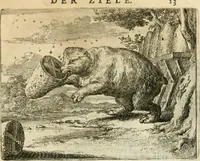 Picture 9 of 63 from Het voorhof der ziele : behangen met leerzaeme prenten en zinnebeelden (1668), leaf 36