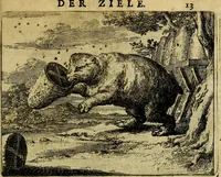 Picture 8 of 62 from Het voorhof der ziele, behangen met leerzaeme prenten en zinnebeelden (1668), leaf 32