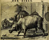 An illustration from Het voorhof der ziele, behangen met leerzaeme prenten en zinnebeelden (1668)
