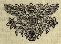 An illustration from Het wonder leven, van de H. Rosa de S. Maria, van Lima in Peru, maghet uyt de Derde Order van den H. Dominicus, : ghebeatificeert door Clemens IX. 12. Febr. 1668. Ghecanonizeert door Clemens X. 12. April 1671. (1671)