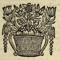 An illustration from Het wonder leven, van de H. Rosa de S. Maria, van Lima in Peru, maghet uyt de Derde Order van den H. Dominicus, : ghebeatificeert door Clemens IX. 12. Febr. 1668. Ghecanonizeert door Clemens X. 12. April 1671. (1671)