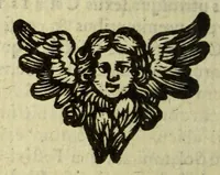 Picture 11 of 14 from Het wonder leven, van de H. Rosa de S. Maria, van Lima in Peru, maghet uyt de Derde Order van den H. Dominicus, : ghebeatificeert door Clemens IX. 12. Febr. 1668. Ghecanonizeert door Clemens X. 12. April 1671. (1671), leaf 256