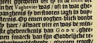 An illustration from Het wonder leven, van de H. Rosa de S. Maria, van Lima in Peru, maghet uyt de Derde Order van den H. Dominicus, : ghebeatificeert door Clemens IX. 12. Febr. 1668. Ghecanonizeert door Clemens X. 12. April 1671. (1671)