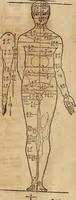 An illustration from Hierinn sind begriffen vier Bucher von menschlicher Proportion durch Albrechten Durer von Nurerberg [sic.] erfunden und beschuben zu nutz allen denen so zu diser kunst lieb tragen (1528)