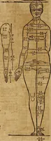 An illustration from Hierinn sind begriffen vier Bucher von menschlicher Proportion durch Albrechten Durer von Nurerberg [sic.] erfunden und beschuben zu nutz allen denen so zu diser kunst lieb tragen (1528)