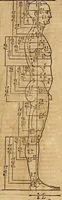 Picture 70 of 197 from Hierinn sind begriffen vier Bucher von menschlicher Proportion durch Albrechten Durer von Nurerberg [sic.] erfunden und beschuben zu nutz allen denen so zu diser kunst lieb tragen (1528), leaf 116