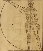 Picture 71 of 197 from Hierinn sind begriffen vier Bucher von menschlicher Proportion durch Albrechten Durer von Nurerberg [sic.] erfunden und beschuben zu nutz allen denen so zu diser kunst lieb tragen (1528), leaf 117