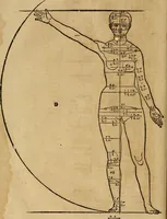 Picture 77 of 197 from Hierinn sind begriffen vier Bucher von menschlicher Proportion durch Albrechten Durer von Nurerberg [sic.] erfunden und beschuben zu nutz allen denen so zu diser kunst lieb tragen (1528), leaf 127