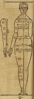 Picture 82 of 197 from Hierinn sind begriffen vier Bucher von menschlicher Proportion durch Albrechten Durer von Nurerberg [sic.] erfunden und beschuben zu nutz allen denen so zu diser kunst lieb tragen (1528), leaf 135