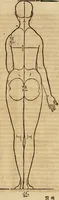 Picture 83 of 197 from Hierinn sind begriffen vier Bucher von menschlicher Proportion durch Albrechten Durer von Nurerberg [sic.] erfunden und beschuben zu nutz allen denen so zu diser kunst lieb tragen (1528), leaf 136