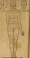Picture 90 of 197 from Hierinn sind begriffen vier Bucher von menschlicher Proportion durch Albrechten Durer von Nurerberg [sic.] erfunden und beschuben zu nutz allen denen so zu diser kunst lieb tragen (1528), leaf 147