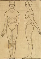 An illustration from Hierinn sind begriffen vier Bucher von menschlicher Proportion durch Albrechten Durer von Nurerberg [sic.] erfunden und beschuben zu nutz allen denen so zu diser kunst lieb tragen (1528)