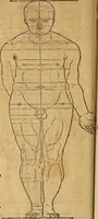 Picture 93 of 197 from Hierinn sind begriffen vier Bucher von menschlicher Proportion durch Albrechten Durer von Nurerberg [sic.] erfunden und beschuben zu nutz allen denen so zu diser kunst lieb tragen (1528), leaf 149