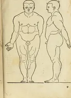 An illustration from Hierinn sind begriffen vier Bucher von menschlicher Proportion durch Albrechten Durer von Nurerberg [sic.] erfunden und beschuben zu nutz allen denen so zu diser kunst lieb tragen (1528)