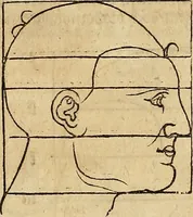 An illustration from Hierinn sind begriffen vier Bucher von menschlicher Proportion durch Albrechten Durer von Nurerberg [sic.] erfunden und beschuben zu nutz allen denen so zu diser kunst lieb tragen (1528)