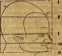 An illustration from Hierinn sind begriffen vier Bucher von menschlicher Proportion durch Albrechten Durer von Nurerberg [sic.] erfunden und beschuben zu nutz allen denen so zu diser kunst lieb tragen (1528)