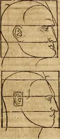 An illustration from Hierinn sind begriffen vier Bucher von menschlicher Proportion durch Albrechten Durer von Nurerberg [sic.] erfunden und beschuben zu nutz allen denen so zu diser kunst lieb tragen (1528)