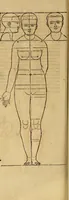An illustration from Hierinn sind begriffen vier Bucher von menschlicher Proportion durch Albrechten Durer von Nurerberg [sic.] erfunden und beschuben zu nutz allen denen so zu diser kunst lieb tragen (1528)