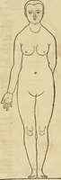 An illustration from Hierinn sind begriffen vier Bucher von menschlicher Proportion durch Albrechten Durer von Nurerberg [sic.] erfunden und beschuben zu nutz allen denen so zu diser kunst lieb tragen (1528)