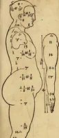 Picture 9 of 197 from Hierinn sind begriffen vier Bucher von menschlicher Proportion durch Albrechten Durer von Nurerberg [sic.] erfunden und beschuben zu nutz allen denen so zu diser kunst lieb tragen (1528), leaf 18