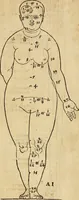 Picture 11 of 197 from Hierinn sind begriffen vier Bucher von menschlicher Proportion durch Albrechten Durer von Nurerberg [sic.] erfunden und beschuben zu nutz allen denen so zu diser kunst lieb tragen (1528), leaf 18