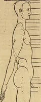 An illustration from Hierinn sind begriffen vier Bucher von menschlicher Proportion durch Albrechten Durer von Nurerberg [sic.] erfunden und beschuben zu nutz allen denen so zu diser kunst lieb tragen (1528)