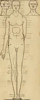 Picture 148 of 197 from Hierinn sind begriffen vier Bucher von menschlicher Proportion durch Albrechten Durer von Nurerberg [sic.] erfunden und beschuben zu nutz allen denen so zu diser kunst lieb tragen (1528), leaf 180