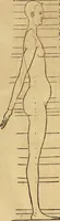 Picture 149 of 197 from Hierinn sind begriffen vier Bucher von menschlicher Proportion durch Albrechten Durer von Nurerberg [sic.] erfunden und beschuben zu nutz allen denen so zu diser kunst lieb tragen (1528), leaf 181