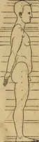 An illustration from Hierinn sind begriffen vier Bucher von menschlicher Proportion durch Albrechten Durer von Nurerberg [sic.] erfunden und beschuben zu nutz allen denen so zu diser kunst lieb tragen (1528)
