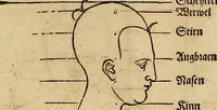 An illustration from Hierinn sind begriffen vier Bucher von menschlicher Proportion durch Albrechten Durer von Nurerberg [sic.] erfunden und beschuben zu nutz allen denen so zu diser kunst lieb tragen (1528)