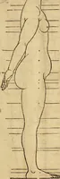 Picture 156 of 197 from Hierinn sind begriffen vier Bucher von menschlicher Proportion durch Albrechten Durer von Nurerberg [sic.] erfunden und beschuben zu nutz allen denen so zu diser kunst lieb tragen (1528), leaf 188