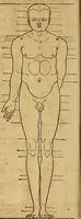 Picture 159 of 197 from Hierinn sind begriffen vier Bucher von menschlicher Proportion durch Albrechten Durer von Nurerberg [sic.] erfunden und beschuben zu nutz allen denen so zu diser kunst lieb tragen (1528), leaf 189